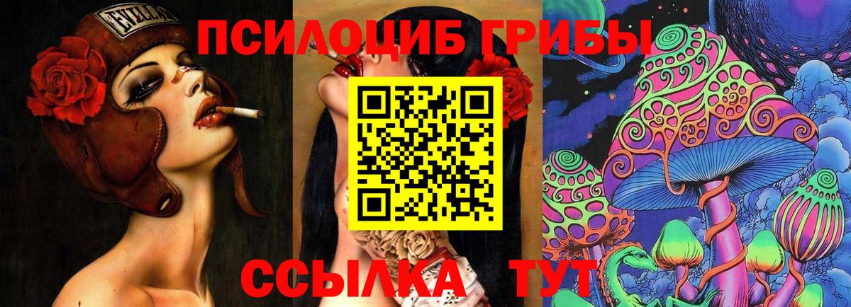 Добрянка  Псилоцибиновые грибы Psilocybine cubensis  Вход с VPN 